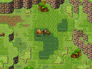 Auge in Auge mit dem Rindvieh ...