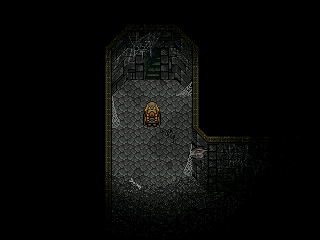 Düstere Kavernen geben nur so viel von ihren Geheimnissen preis, wie der Spieler zu erkunden wagt.